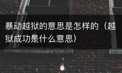 暴动越狱的意思是怎样的（越狱成功是什么意思）