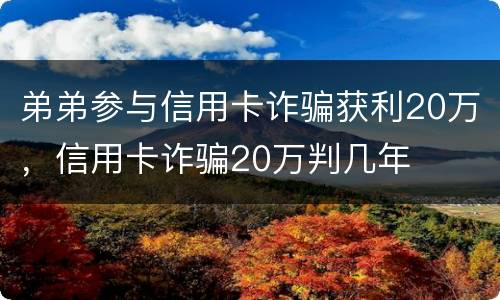 弟弟参与信用卡诈骗获利20万，信用卡诈骗20万判几年