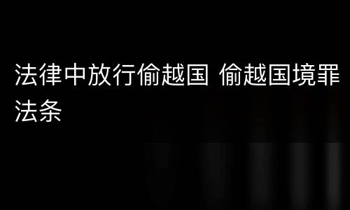 法律中放行偷越国 偷越国境罪法条