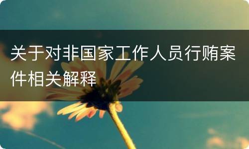 关于对非国家工作人员行贿案件相关解释