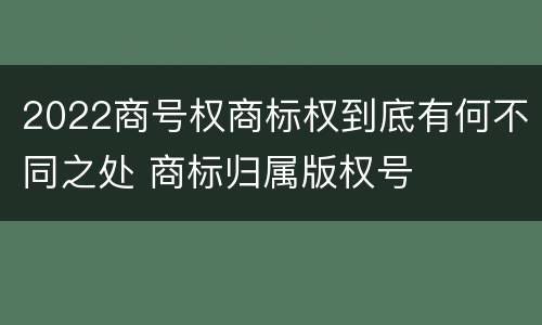 2022商号权商标权到底有何不同之处 商标归属版权号