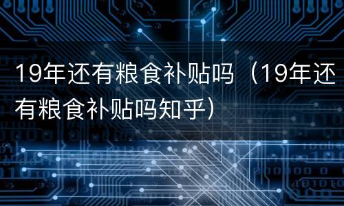 19年还有粮食补贴吗（19年还有粮食补贴吗知乎）