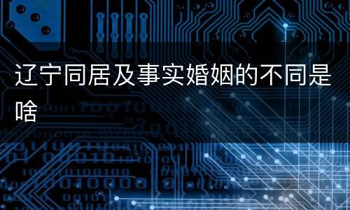 辽宁同居及事实婚姻的不同是啥