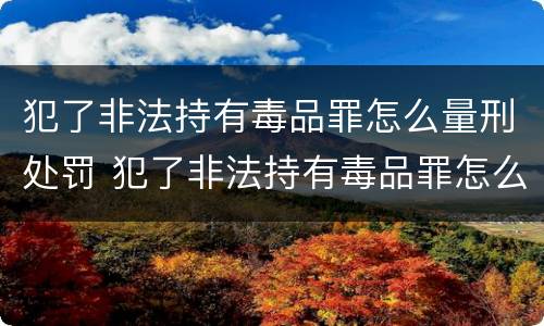 犯了非法持有毒品罪怎么量刑处罚 犯了非法持有毒品罪怎么量刑处罚的