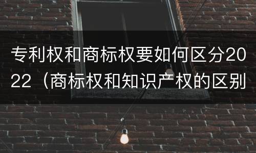 专利权和商标权要如何区分2022（商标权和知识产权的区别）