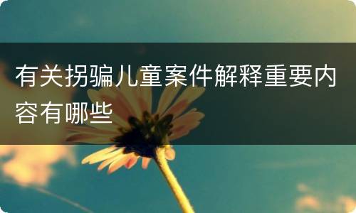 有关拐骗儿童案件解释重要内容有哪些