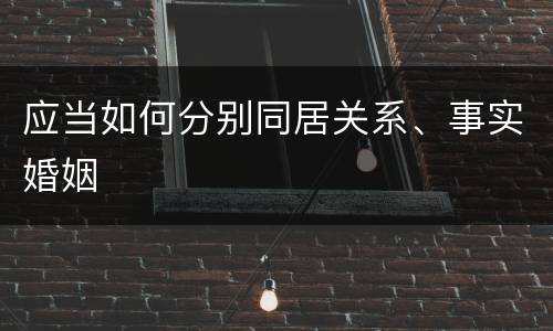 应当如何分别同居关系、事实婚姻