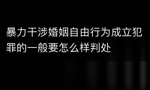暴力干涉婚姻自由行为成立犯罪的一般要怎么样判处