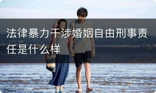 法律暴力干涉婚姻自由刑事责任是什么样