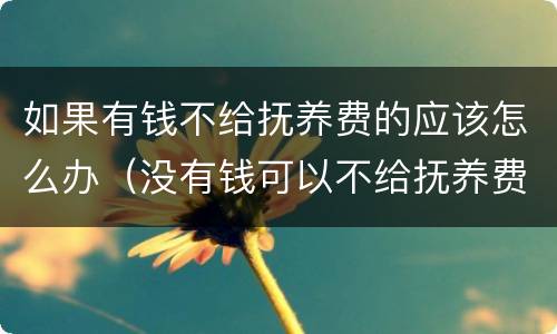 如果有钱不给抚养费的应该怎么办（没有钱可以不给抚养费吗）