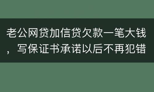 老公网贷加信贷欠款一笔大钱，写保证书承诺以后不再犯错，请问怎样写受法律保护