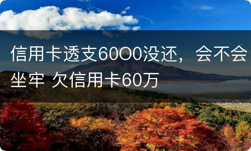 信用卡透支60O0没还，会不会坐牢 欠信用卡60万