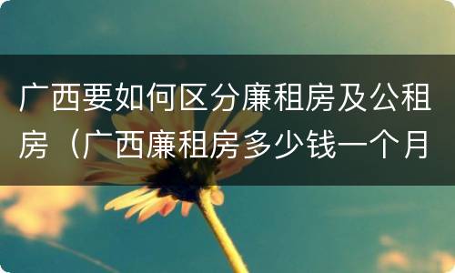 广西要如何区分廉租房及公租房（广西廉租房多少钱一个月）