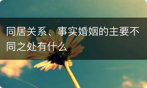 同居关系、事实婚姻的主要不同之处有什么