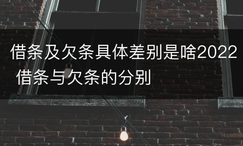 借条及欠条具体差别是啥2022 借条与欠条的分别