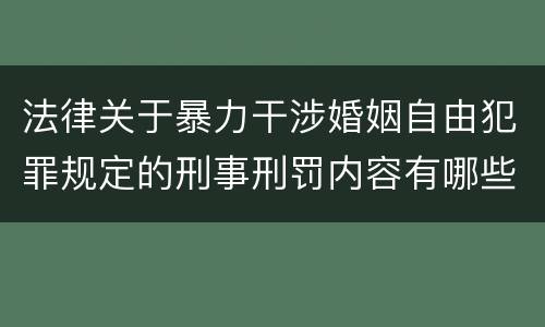 法律关于暴力干涉婚姻自由犯罪规定的刑事刑罚内容有哪些