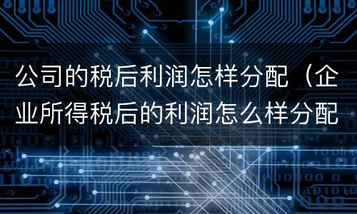 公司的税后利润怎样分配（企业所得税后的利润怎么样分配）