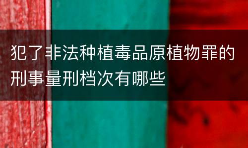 犯了非法种植毒品原植物罪的刑事量刑档次有哪些