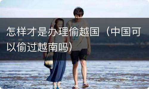 怎样才是办理偷越国（中国可以偷过越南吗）