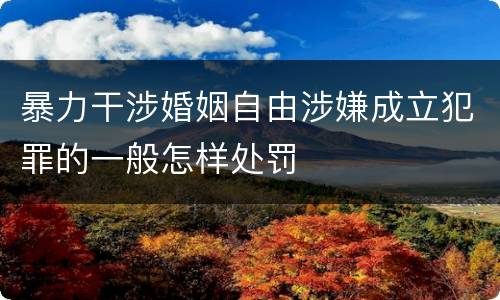 暴力干涉婚姻自由涉嫌成立犯罪的一般怎样处罚