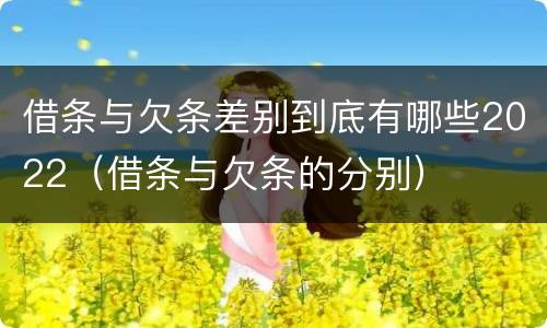 借条与欠条差别到底有哪些2022（借条与欠条的分别）