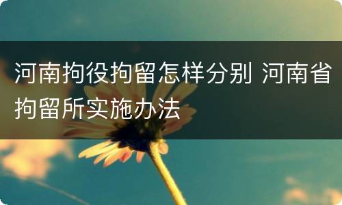 河南拘役拘留怎样分别 河南省拘留所实施办法