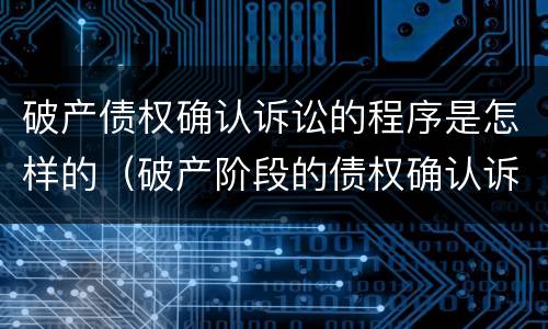 破产债权确认诉讼的程序是怎样的（破产阶段的债权确认诉讼）