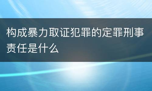 构成暴力取证犯罪的定罪刑事责任是什么