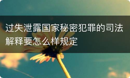 过失泄露国家秘密犯罪的司法解释要怎么样规定