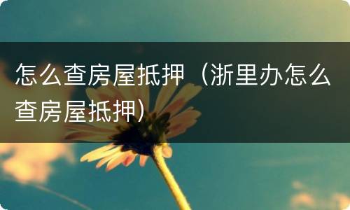 怎么查房屋抵押（浙里办怎么查房屋抵押）