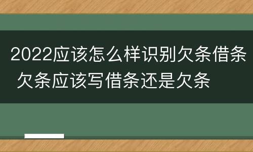 2022应该怎么样识别欠条借条 欠条应该写借条还是欠条