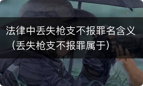 法律中丢失枪支不报罪名含义（丢失枪支不报罪属于）