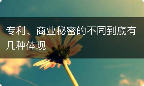 专利、商业秘密的不同到底有几种体现