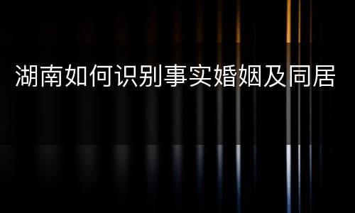 湖南如何识别事实婚姻及同居