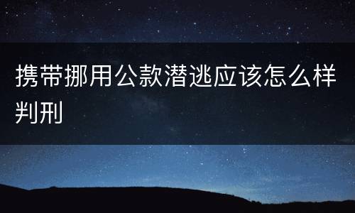 携带挪用公款潜逃应该怎么样判刑