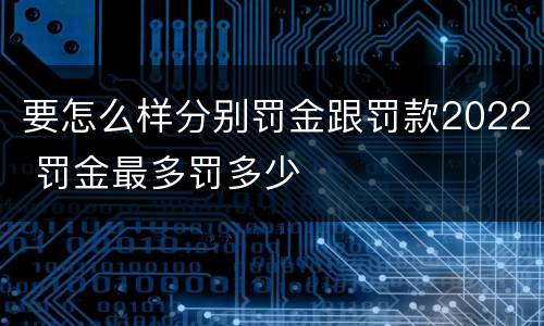 要怎么样分别罚金跟罚款2022 罚金最多罚多少