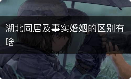 湖北同居及事实婚姻的区别有啥
