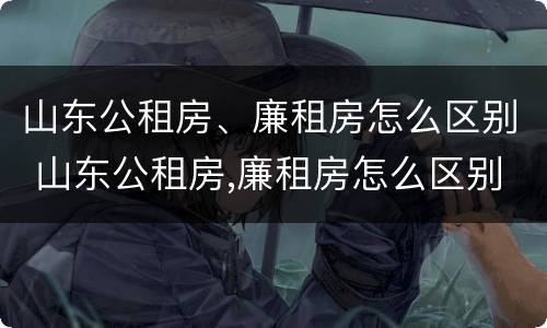 山东公租房、廉租房怎么区别 山东公租房,廉租房怎么区别的