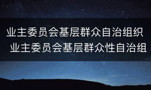 业主委员会基层群众自治组织 业主委员会基层群众性自治组织