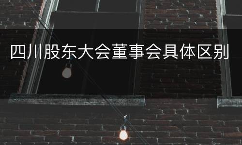 四川股东大会董事会具体区别