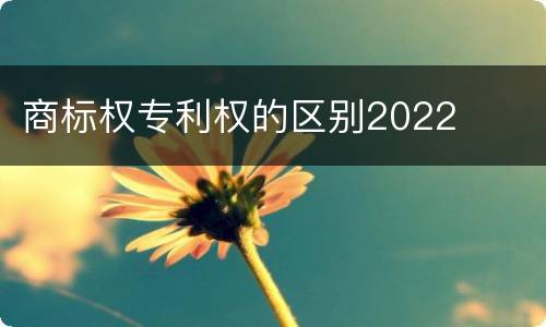 商标权专利权的区别2022