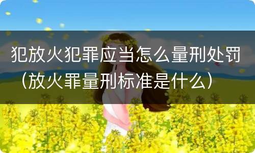 犯放火犯罪应当怎么量刑处罚（放火罪量刑标准是什么）