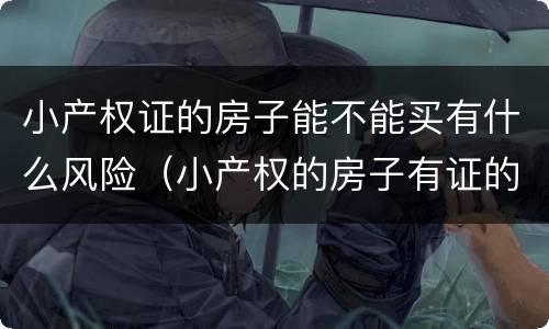 小产权证的房子能不能买有什么风险（小产权的房子有证的能不能买）