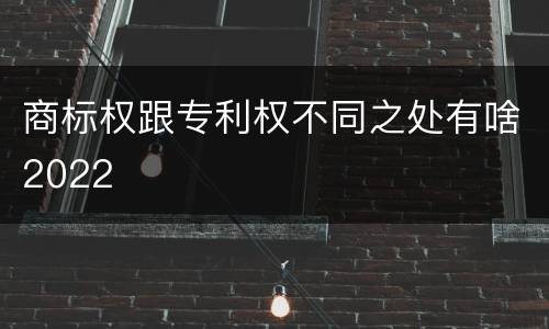 商标权跟专利权不同之处有啥2022