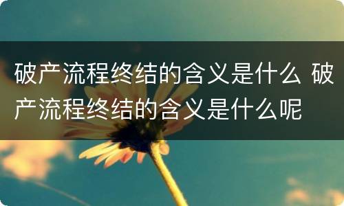 破产流程终结的含义是什么 破产流程终结的含义是什么呢