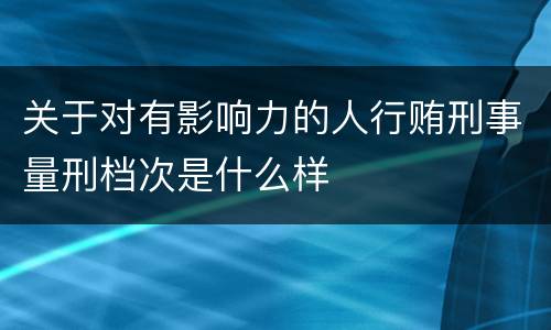 关于对有影响力的人行贿刑事量刑档次是什么样