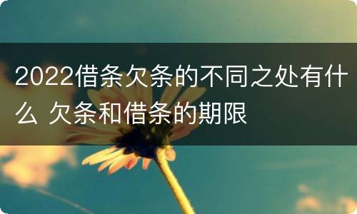 2022借条欠条的不同之处有什么 欠条和借条的期限