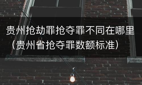 贵州抢劫罪抢夺罪不同在哪里（贵州省抢夺罪数额标准）