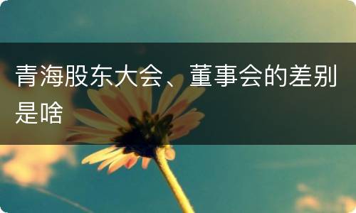 青海股东大会、董事会的差别是啥