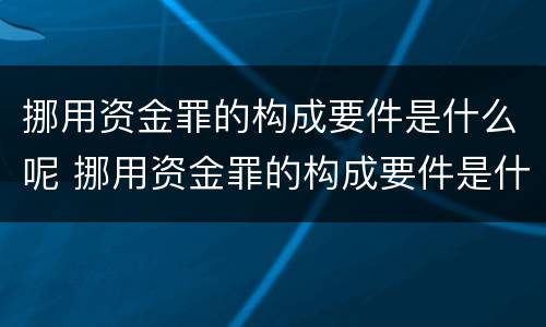 挪用资金罪的构成要件是什么呢 挪用资金罪的构成要件是什么呢怎么写